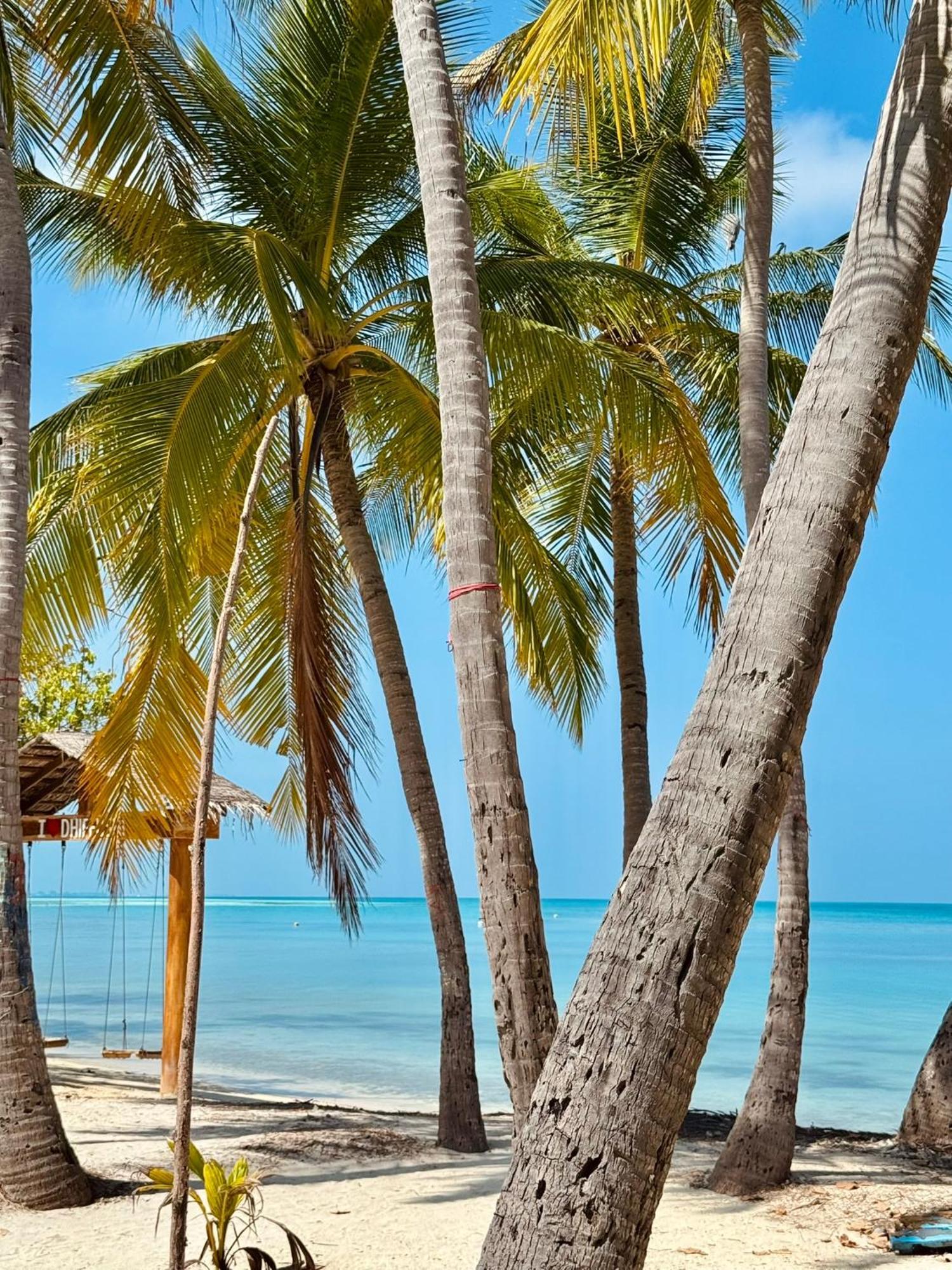 Ameera Maldives Pensión Dhiffushi